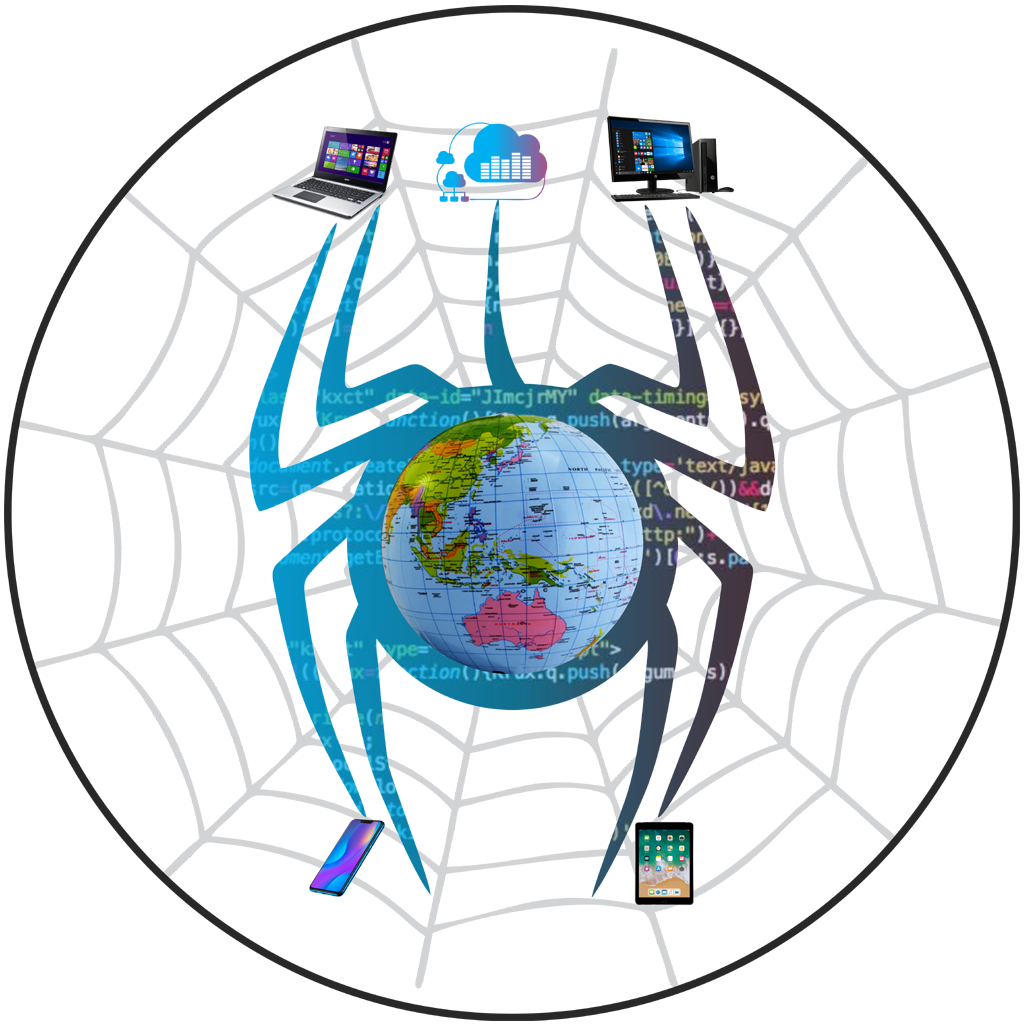 Spider Web Solution